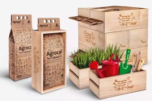 農(nóng)產(chǎn)品包裝設(shè)計(jì)與市場營銷策劃 融合美學(xué)與商業(yè)智慧