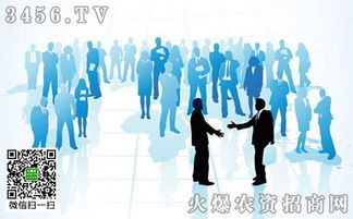 品牌整合營銷策劃 你不能不知道的核心方法與實戰策略