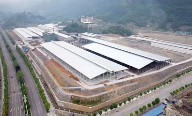 道真小蘑菇 科技賦能食用菌研發(fā)，鮮香直達(dá)二十余省市民餐桌